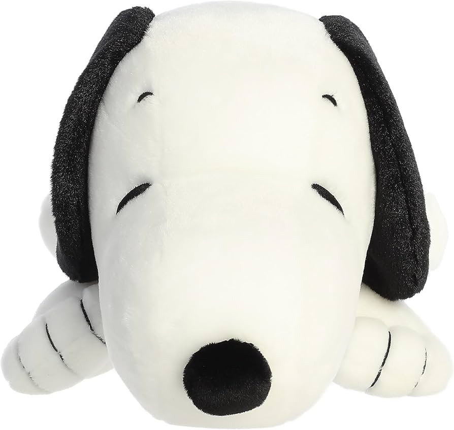 717wz2cO3+L._AC_UF894,